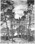 Ernst Rötteken: Hünengrab auf dem Haiberg