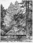 Ernst Rötteken: Die Wildhütte im Naturschutz